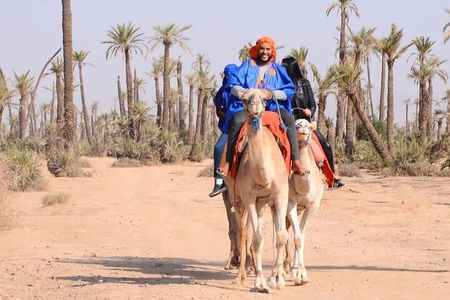 Camel ride in the palm grove of Marrakech