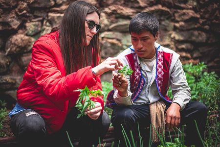 Personalized Journey in Peru