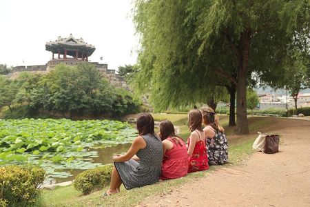 Private Tour around Suwon UNESCO Fortress and Korea Folks Village