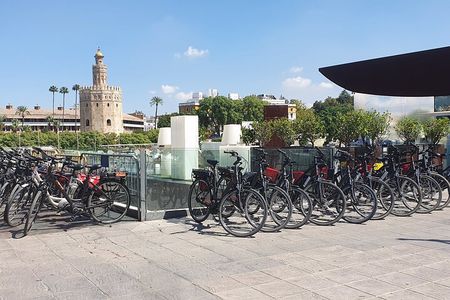 Guided Electric Bicycle Tour of Seville