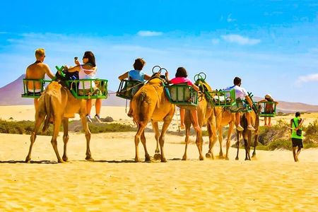 E-Bike City Tour with included Camel Tour inside Maspalomas Dunes