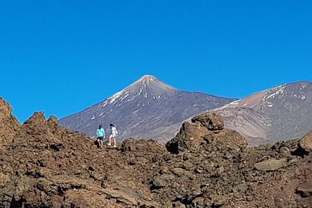 Small-Group Half-Day Tour of Teide National Park with Pickup