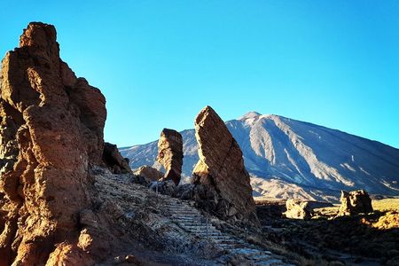 Small-Group Half-Day Tour of Teide National Park with Pickup