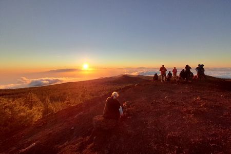 Small-Group Half-Day Tour of Teide National Park with Pickup