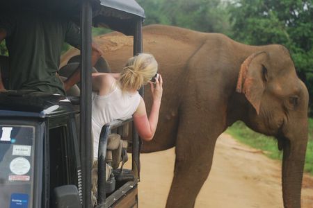 Half Day Safari Guided Tour