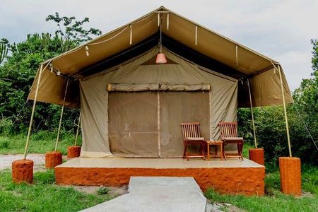 4 Days great of Maasai Mara Lake Nakuru joining safari