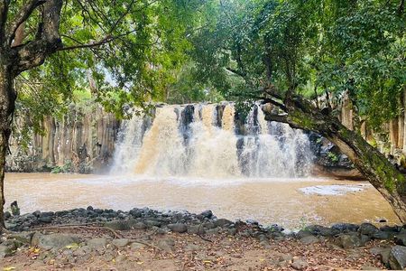All Inclusive Full Day Tour: Chamarel Rhumrie,7-Coloured & Lunch