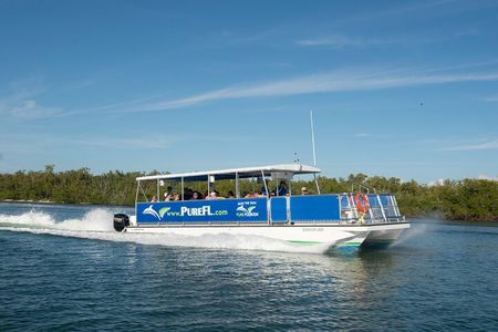 Dolphin Watch Eco Shelling Cruise to Keewaydin Island