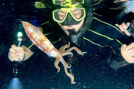 Night Snorkeling - Observation of octopus and other species