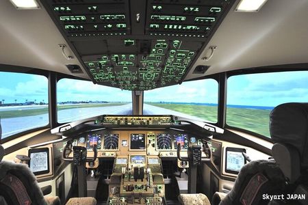 Flight simulation in the real cockpit 70 minutes of real experience!Plane lovers must see