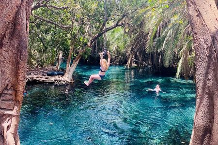 Private Day Trip to Kikuletwa Hot Springs in Kilimanjaro