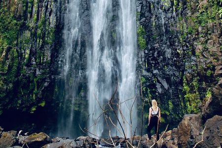 Private Day Trip to Materuni Waterfall and Coffee Tour 