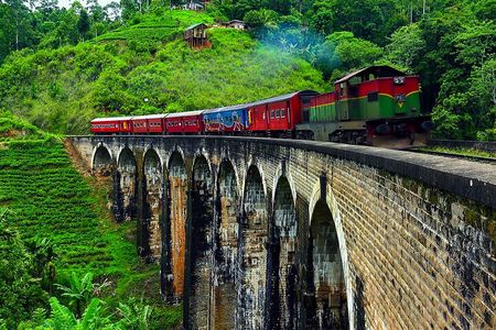 Round tour in Sri Lanka 11daysby Aaliya Tours-Hotels with H/B