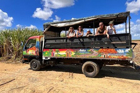 Cultural Safari: Dominican Life and Chavón River