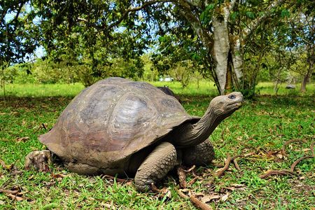Galapagos Multisport Expedition 8 days