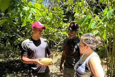 Bribri Magic Chocolate and Waterfall Experience