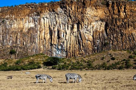Full day; Hells Gate National park & Lake Naivasha from Nairobi.