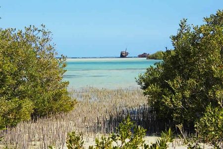 Nabq National Park Day Tour from Dahab