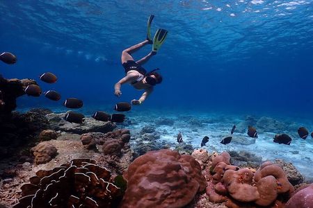 Similan Islands Day Trip from Phuket by Speedboat 