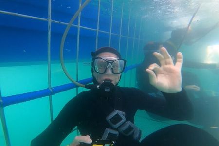 Guided Shark Cage Diving with Hookah Air Supply in Gansbaai