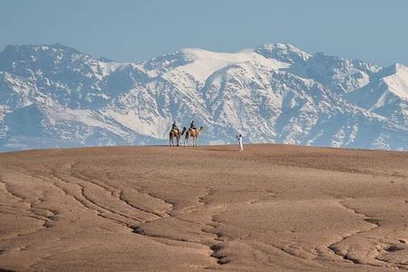Marrakesh: High Atlas, Agafay desert and Waterfalls Tour
