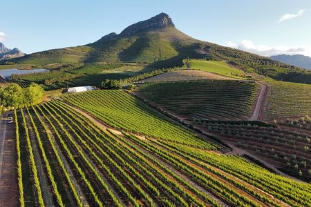 Cape Winelands Tour