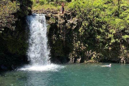 Rainforest Tour to Hana and Beyond