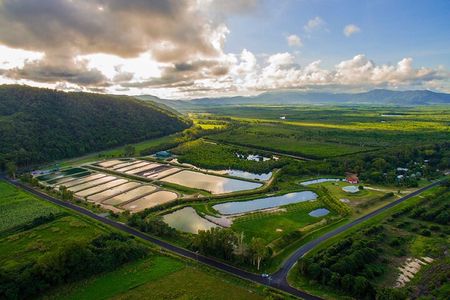 Hook-A-Barra Fishing and Farm Activity