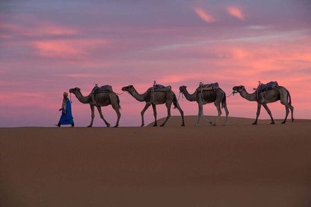 4-Days Marrakech to Marrakech Désert Tour