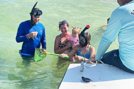 Private 3-Hour Eco Tour with Island Hopping in St. Petersburg, FL