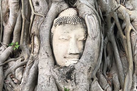 Ayutthaya private day tour from Bangkok