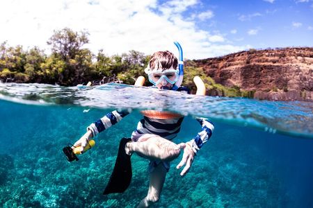 Kaimana Kealakekua Bay Captain Cook Adventure