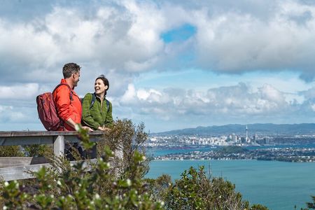 Discover Auckland City Tour: The City of Sails