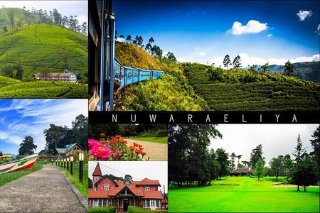 Day tour to Nuware Eliya (Littel England) From Kandy