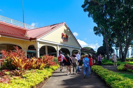 Oahus Exclusive Circle Island Tour!