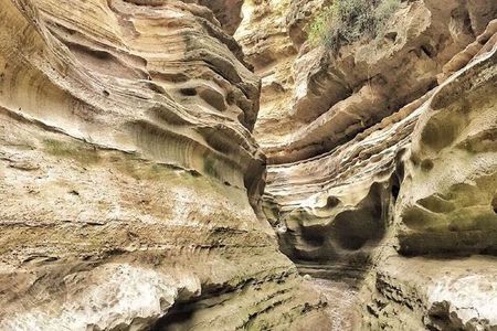 Private Full-Day Tour To Hell's Gate Biking and Lake Naivasha from Nairobi
