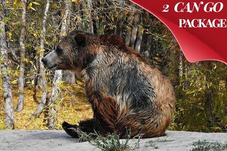 Yellowstone, Grand Teton, and Hot Springs: Small Group 5-Day Tour