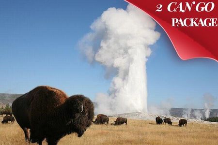 Yellowstone & Grand Teton National Parks: Small Group 4-Day Tour