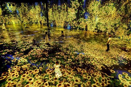 Immersive Art Experience