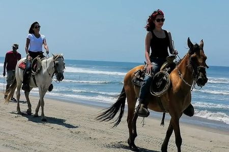 Afro-Mex Village Experience -Horseback Ride -Turtle Hatch & Crocs
