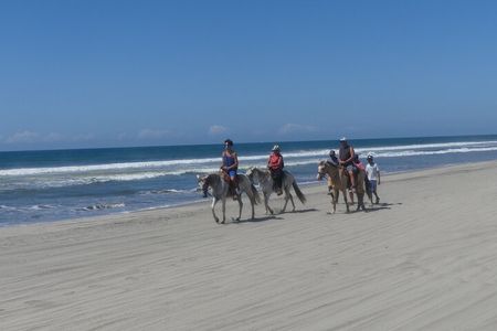 Afro-Mexican Village: Horseback Beach Ride, Crocs & Cliff Diver