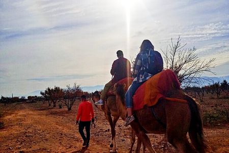 From Marrakech: Atlas Mountains Full-Day Hiking Trip & Three Valleys with camel