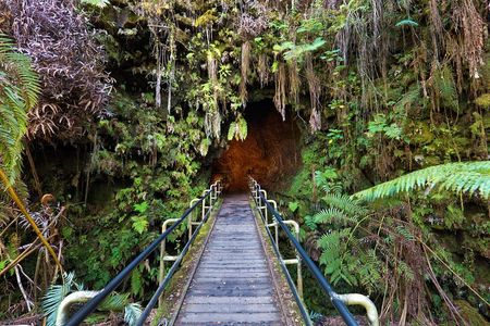 Volcanoes National Park: Guided, Small-Group Hike
