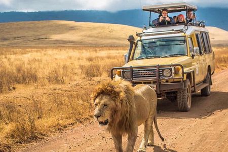 7 Days Private Tanzania Safari 