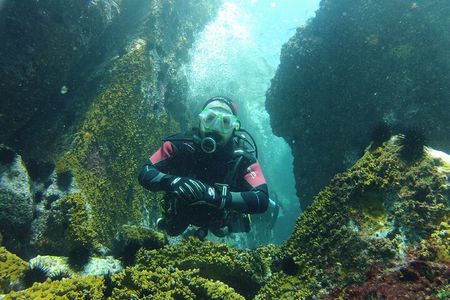 Rio's Best Dive Experience All Inclusive Scuba Diving Package!