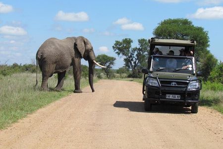 All Inclusive 2 Day Kruger Safari from Johannesburg