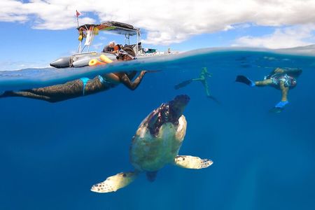 Maui Eco-Raft Turtle Snorkel Tour: Semi-Private and Family Fun