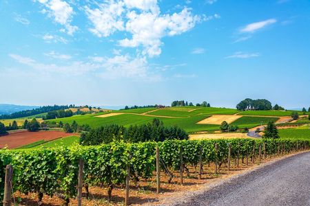 Wine History Tours in Willamette Valley Oregon
