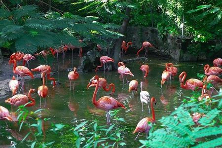 Private Beach Day/Guided TourThrough New Providence Island