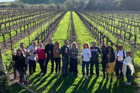Small Group: Ultimate Napa & Sonoma Wine Tour from San Francisco